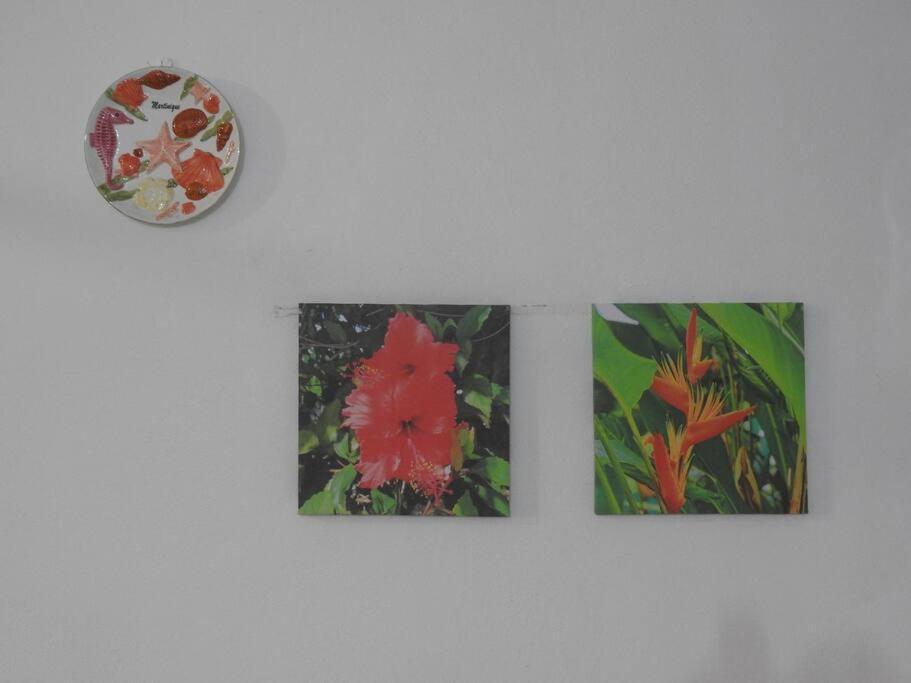 Studio Hibiscus-Ch Vue Sur Mer,Plage,Clim Les Anses-d'Arlet Extérieur photo